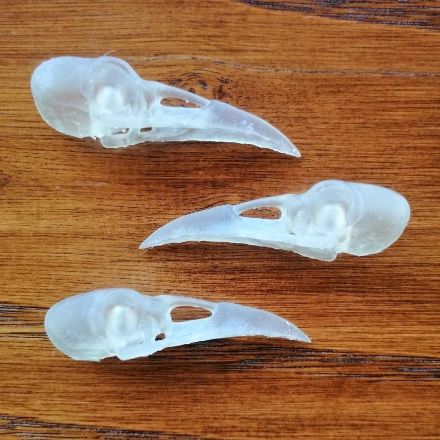 Vegan-friendly resin crow skull for your altar